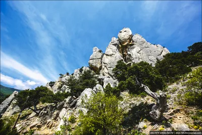 Картинка горы Кошка в Крыму - очаровательный пейзаж на вашем экране