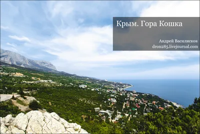 Фотография Горы кошка в 4K разрешении