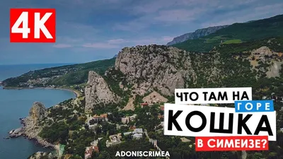 Фотография горы кошка в арт-стиле - скачать бесплатно и наслаждаться!