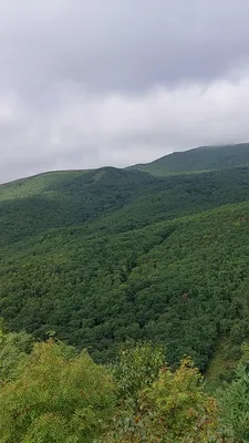 Уникальное фото Горы лягушки южно-Сахалинска с восхитительным видом