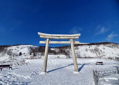 Гора лягушка южно сахалинск на фото — лучшее качество