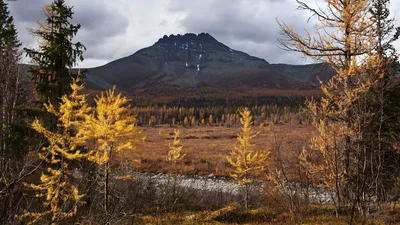 Фотографии Горы Манарага: Взгляд на мир с высоты