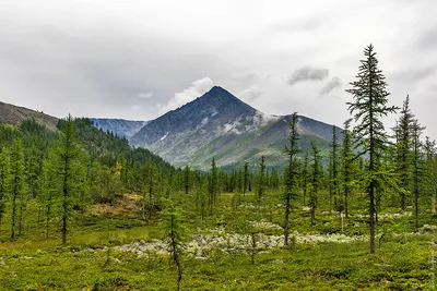 2024 картинка: Предвосхищение года с фотографией горы Манарага