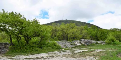 Загляните в мир горы Машук через фотообъектив