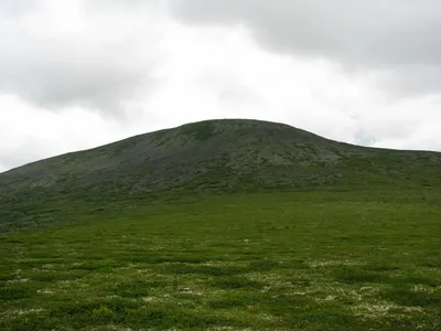 Фотография горы мертвецов в 4K разрешении