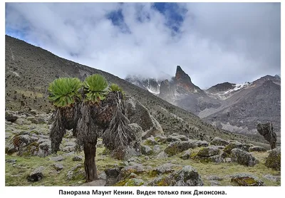 Гора Монблан на картинках: бесплатное скачивание в HD качестве