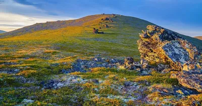 Фон с фотографией горы отортен на вашем мобильном устройстве