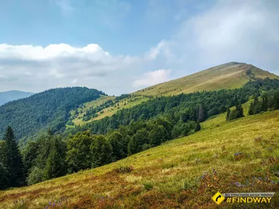 Фоны Горы парашка: скачать бесплатно и использовать на разные устройства