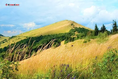 Гора парашка на фото: красота в ее лучшем виде