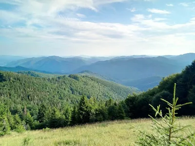 Насыщенные краски природы: фотографии Горы Парашка