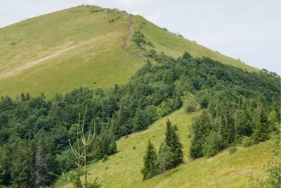 Фоны Горы парашка для вашего устройства в высоком разрешении