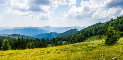 Скачать великолепную фотографию горы Парашка на андроид