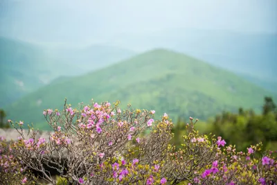 Фото горы Пидан в 4K: потрясающая реалистичность