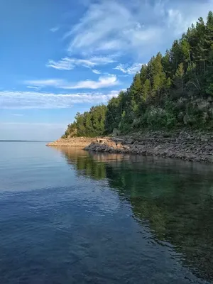 Арт-фотография горы пихтовой в стиле 4K