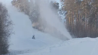 Фотография пихтовой горы на айфон безвозмездно