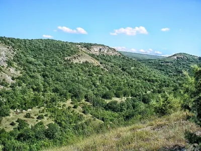 Фотографии Горы Роман Кош: магнетизм естественного мира