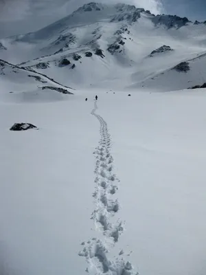 Арт горы Шаста в живописных цветах