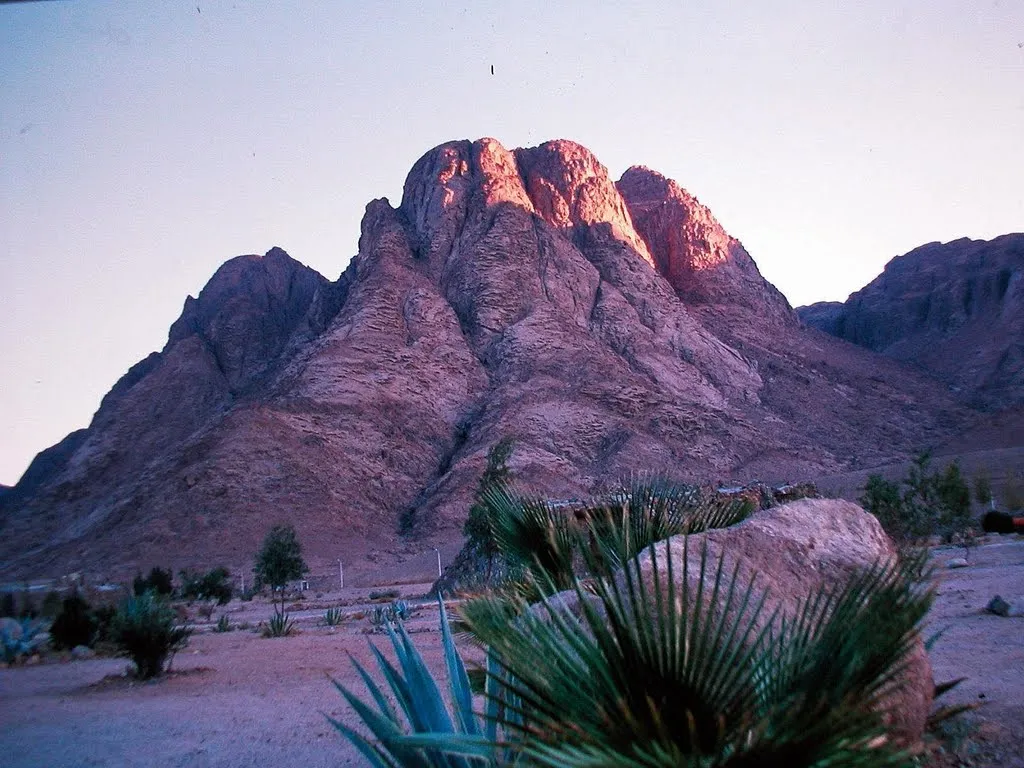 Mount Sinai