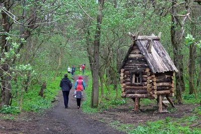 Величие природы: фото Горы стрижамент