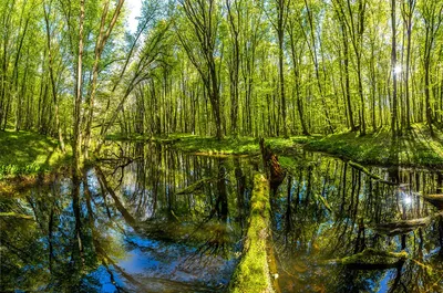 Фотк Горы стрижамент с потрясающим видом