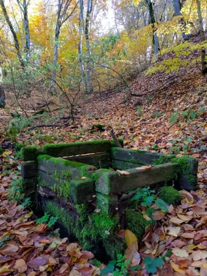 Фотография Горы стрижамент на фоне природы