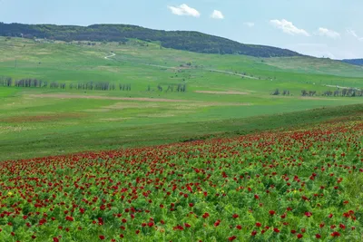 Скачайте бесплатно фото Горы Стрижамент в хорошем качестве