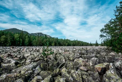 Фотографии Горы Таганай: пленительная дивотворная природа