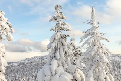 Пейзаж горы Таганай в Full HD: волшебство природы на экране.