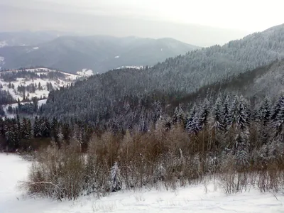 Фотографии Горы тростян на закате солнца