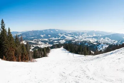 Новые снимки Горы тростян на весенней зелени