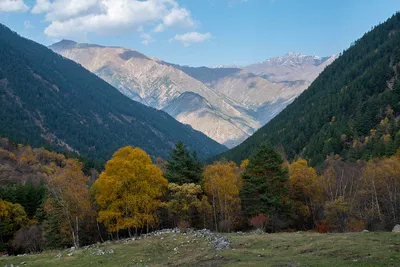 Потрясающий панорамный вид на Гору Уллу-Тау (Фото)