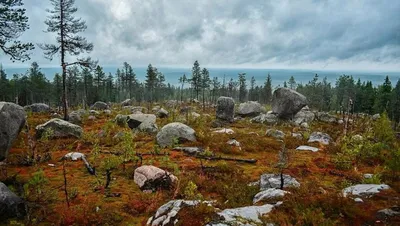 Гора Воттоваара и ее завораживающий пейзаж в фотографиях