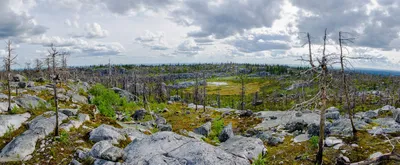 Фотоэкскурсия по Горе Воттоваара: красота, которая затягивает