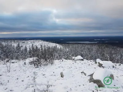 Прекрасные обои на айфон с изображением Горы Воттоваара.