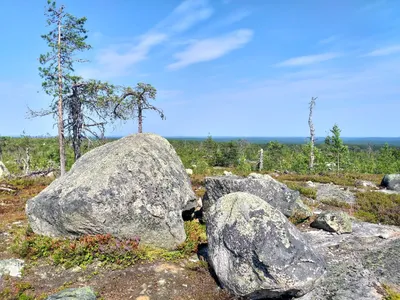 Истинное великолепие: фотография Горы Воттоваара в абсолютно бесплатном Full HD качестве.