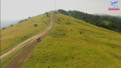 Волшебный мир Горы Захар Беркут: потрясающие снимки