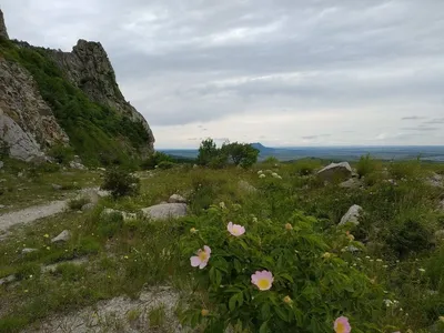 Погружение в загадочность и очарование Горы змейка на фото