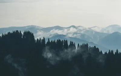 Пейзажи, захватывающие дух, снятые в горах (фото)