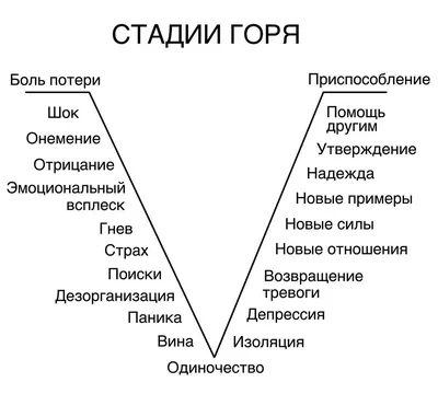 Дикие животные Горя, совсем рядом с горнолыжными курортами - фото