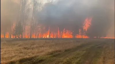 Рисунок природной катастрофы: огонь в лесу