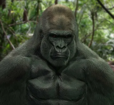 Встреча с великаном леса: Увидьте гориллу во всей ее красе