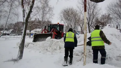 Игры с природой: увлекательные фото горки