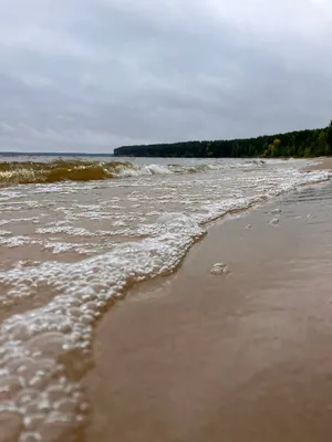 Восхитительный мир Горьковского моря через объектив фотографа