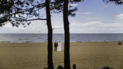 Скачать бесплатно красивые фотографии Горьковского моря: окунитесь в мир природы.