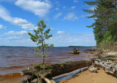 Встреча двух миров: слияние Горьковского моря и неба в одном кадре