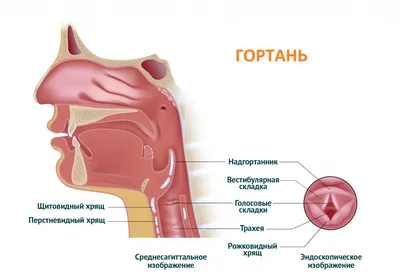 Горло Больного Человека: Фотографии с Опцией Скачивания JPG, PNG, WebP