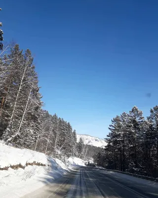 Горный Алтай: Зимние пейзажи в формате JPG для вашего выбора