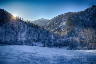 Зимние моменты в Горном Алтае: Разнообразие форматов для скачивания