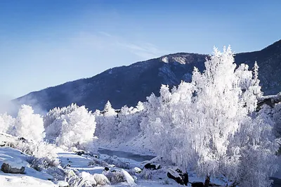 Горный Алтай в зимнем великолепии: WebP формат для мгновенной загрузки