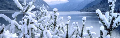 Фотографии природы Горного Алтая зимой: Качественные изображения в JPG